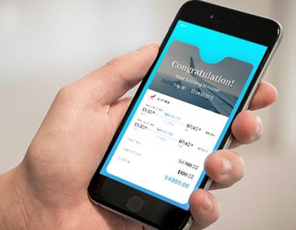 Airfare Purchasing
